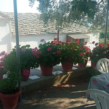 Vaso Alikí